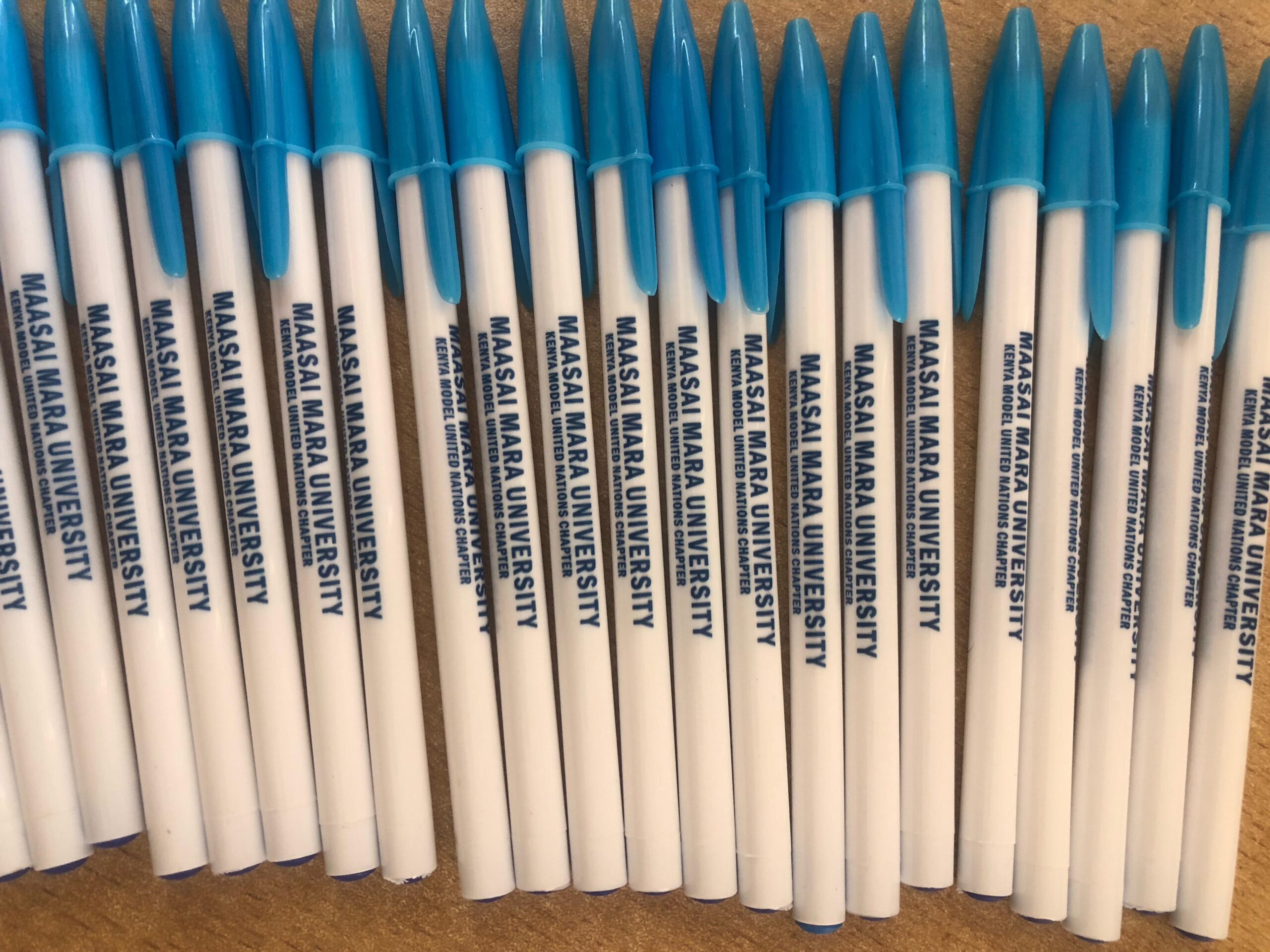 Read more about the article Meraki Digital Solutions Partners with KMUN Maasai Mara University to Empower Women.